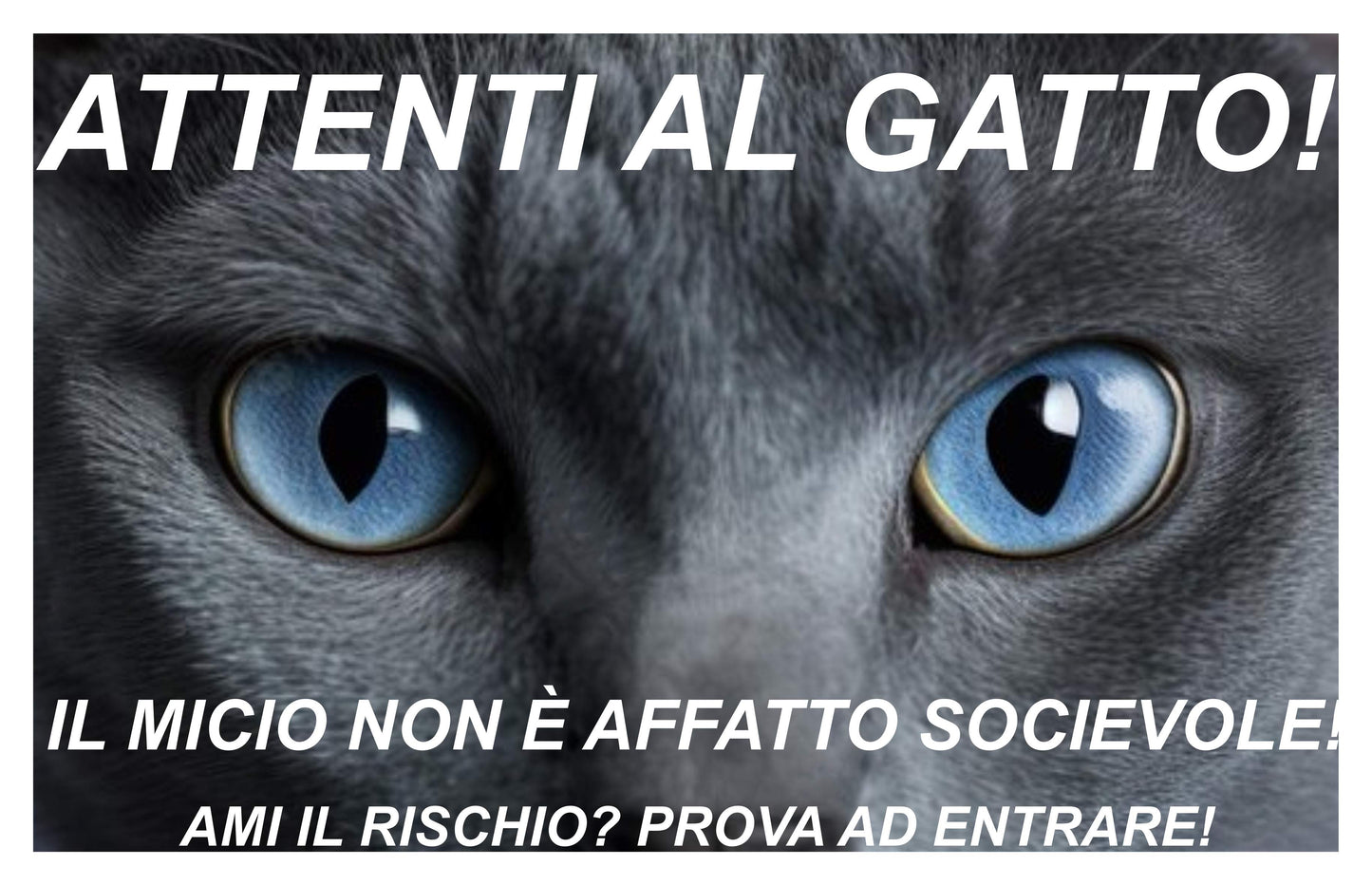 GLOBAL CARTELLO SEGNALETICO - attenti al gatto, il micio non è affatto socievole modello 2 - Adesivo Extra Resistente, Pannello in Forex, Pannello In Alluminio