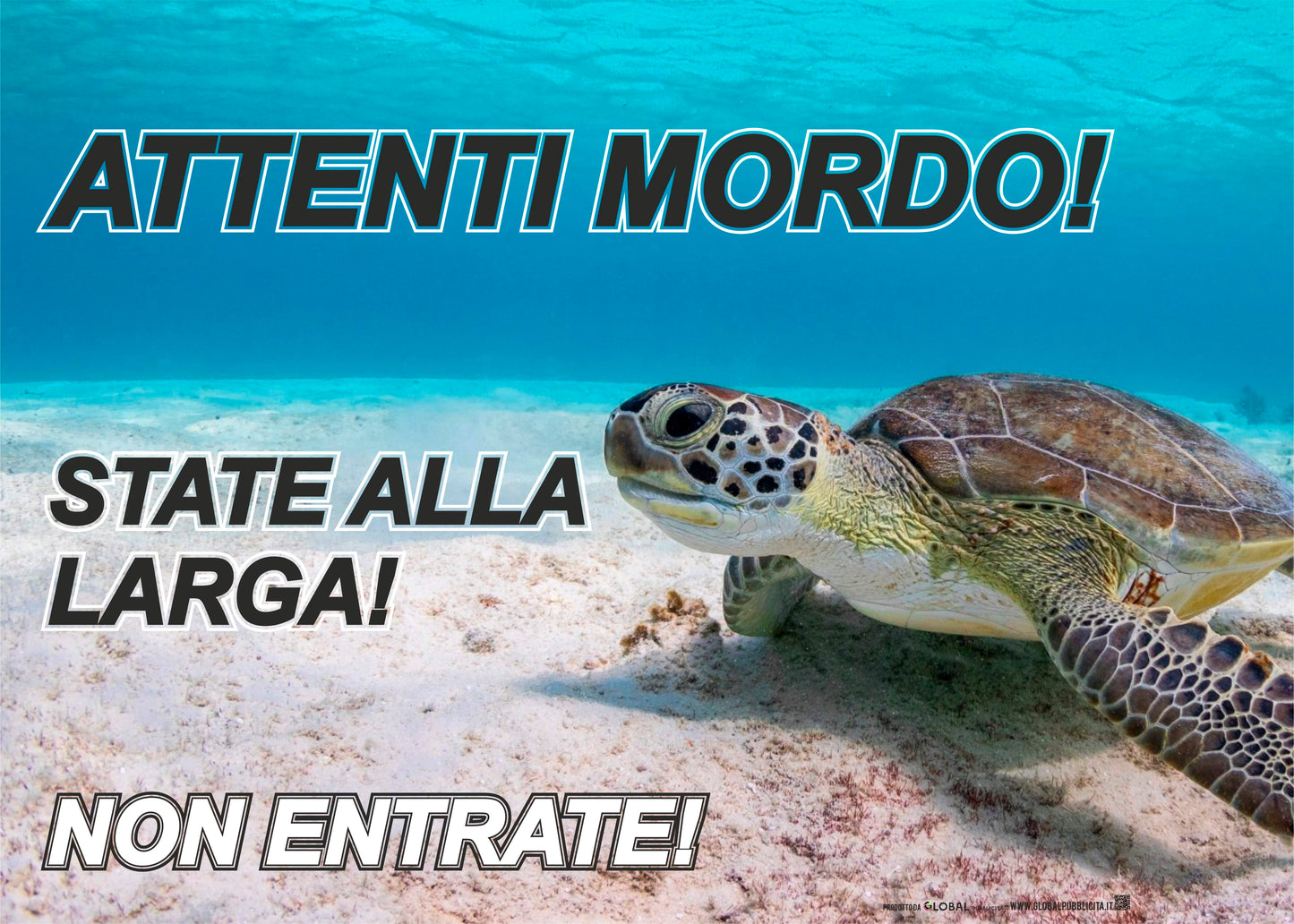GLOBAL CARTELLO SEGNALETICO - ATTENTI ALLA TARTARUGA ATTENTI MORDO - Adesivo Extra Resistente, Pannello in Forex, Pannello In Alluminio
