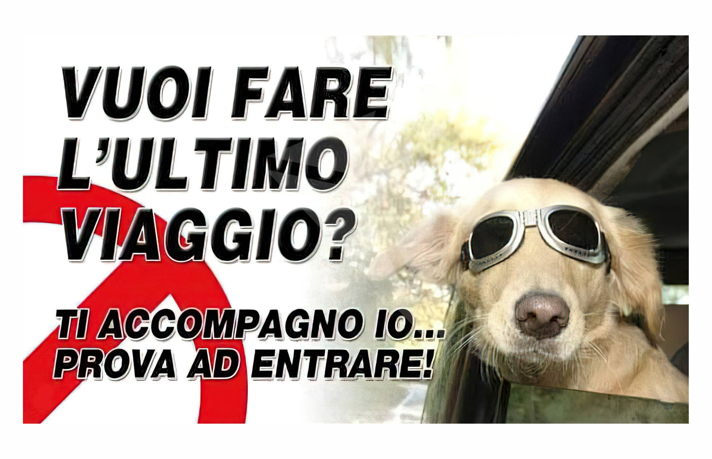 GLOBAL CARTELLO SEGNALETICO - attenti al cane golden retriever, vuoi fare l'ultimo viaggio - Adesivo Extra Resistente, Pannello in Forex, Pannello In Alluminio