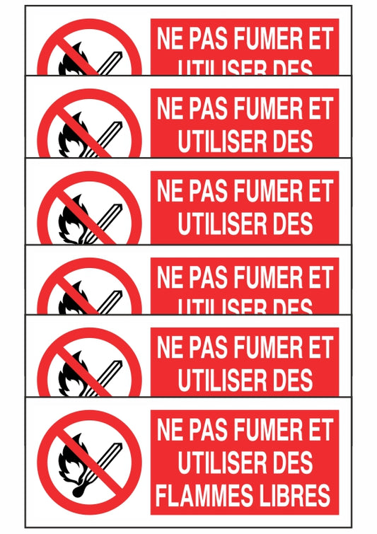 GLOBAL KIT DI 6 ADESIVI UNI - NE PAS FUMER ET UTILISER DES FLAMMES LIBRES - Pittogramma ISO 7010 Con Stampa Diretta U.V. (IDEALE ANCHE PER ESTERNO)