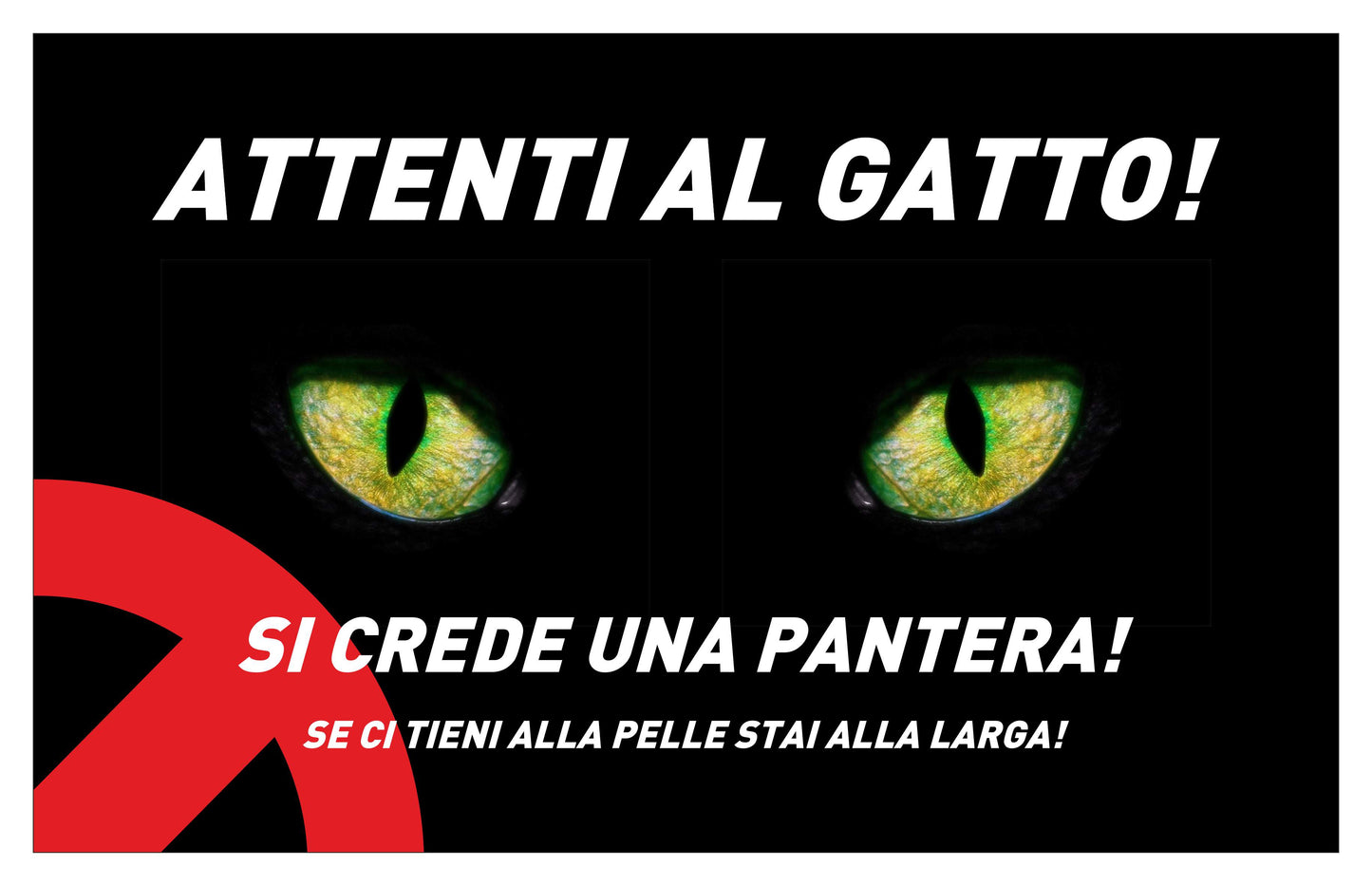 GLOBAL CARTELLO SEGNALETICO - attenti al gatto, si crede una pantera - Adesivo Extra Resistente, Pannello in Forex, Pannello In Alluminio