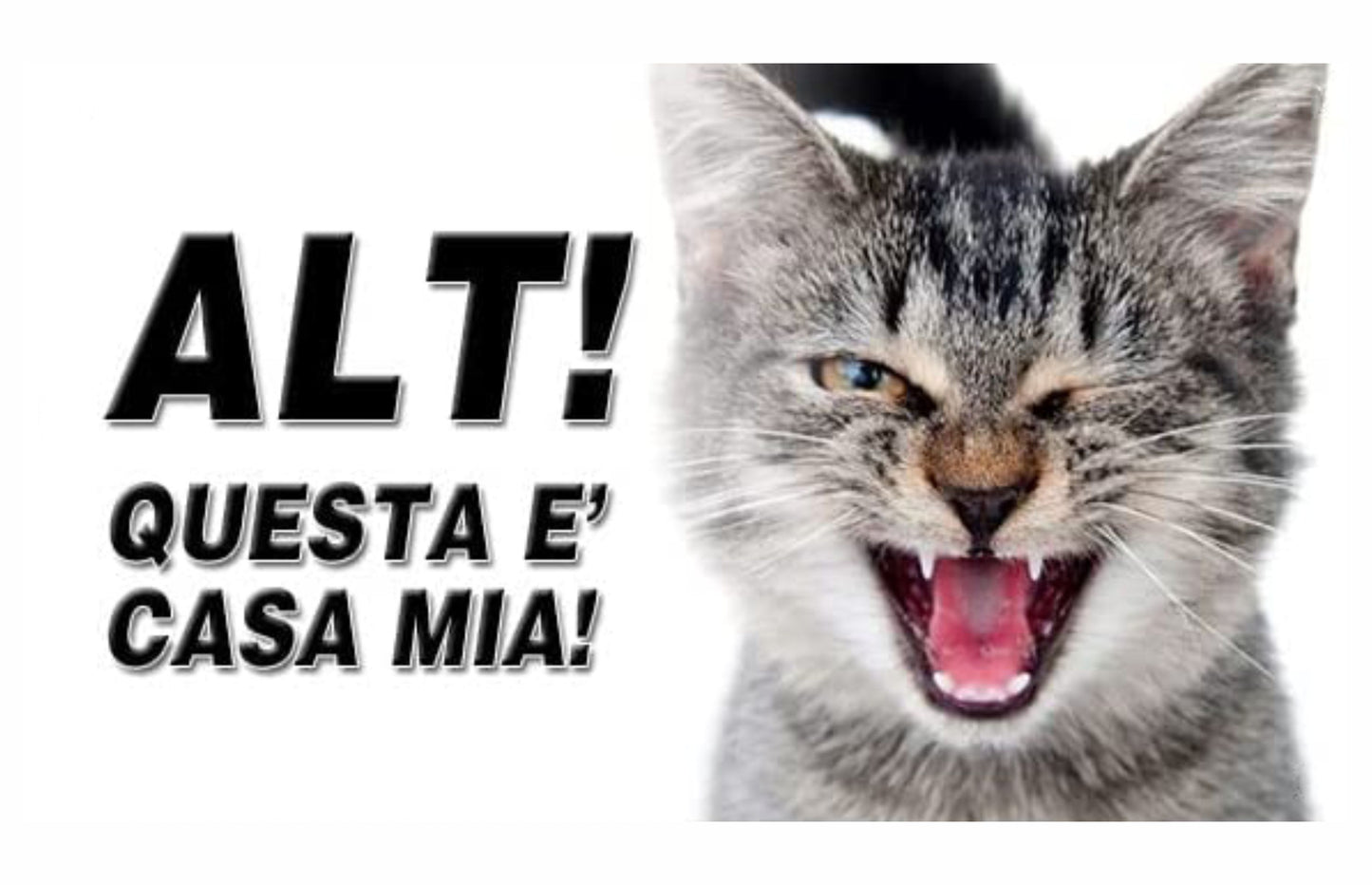 GLOBAL CARTELLO SEGNALETICO - attenti al gatto alt questa è casa mia - Adesivo Extra Resistente, Pannello in Forex, Pannello In Alluminio