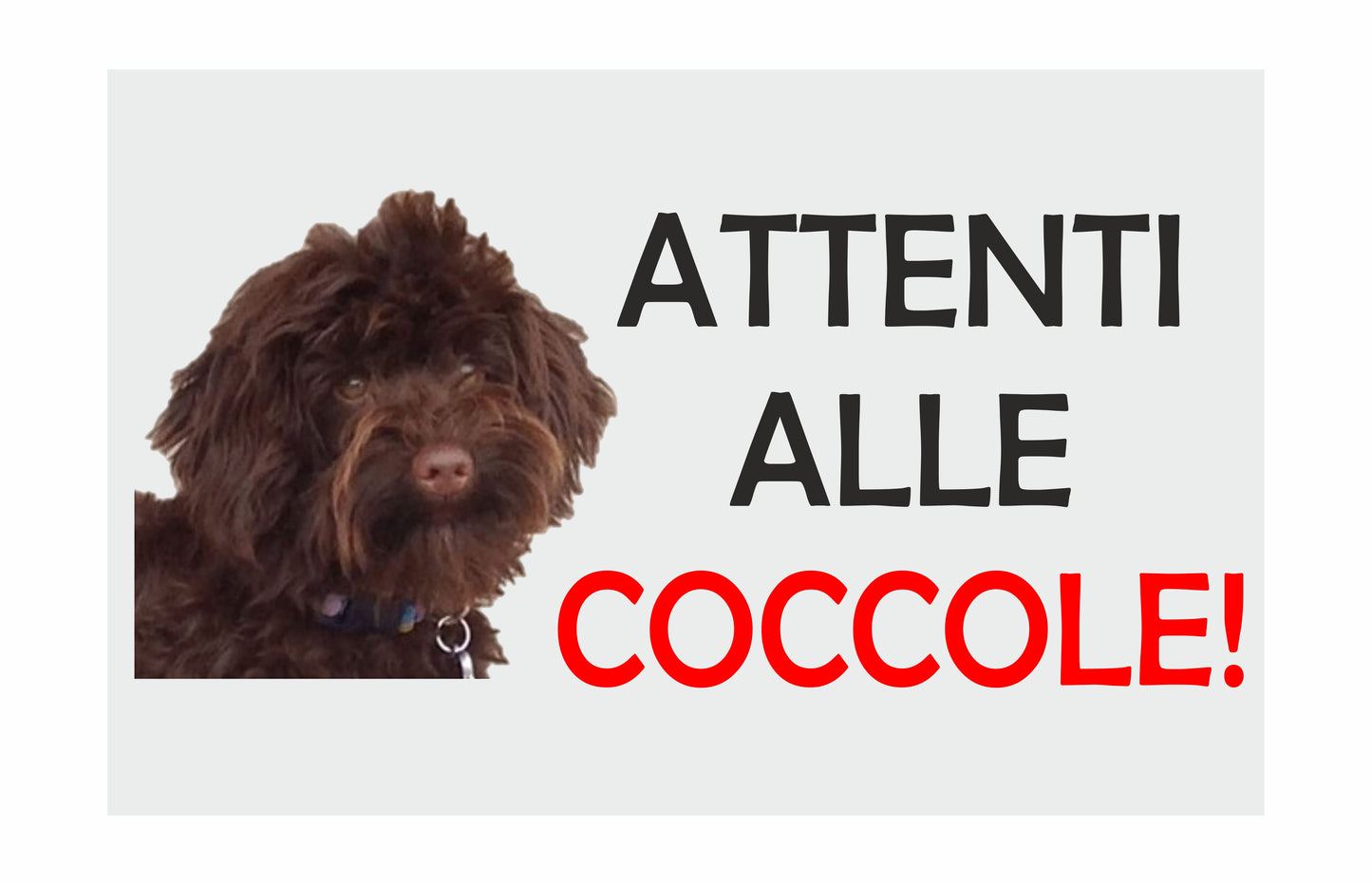 ATTENTI ALLE COCCOLE - LAGOTTO - CARTELLO ATTENTI AL CANE in Adesivo Resistente, Pannello in Forex, Pannello In Alluminio o in Plexiglas