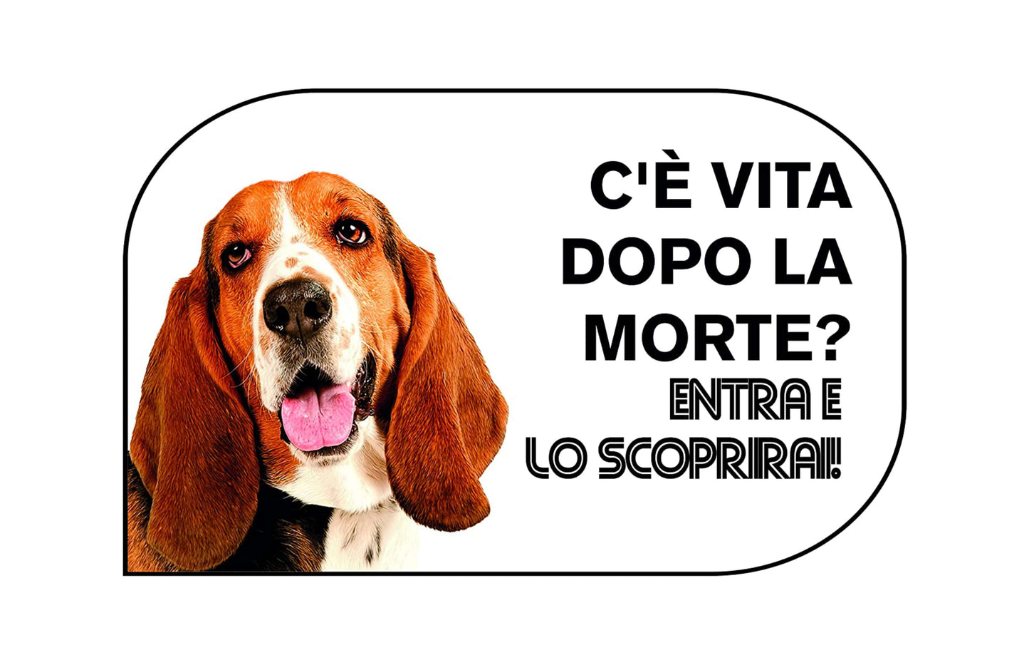 BASSET HOUND - C'è vita dopo la morte, entra e lo scoprirai - CARTELLO ATTENTI AL CANE in Adesivo Resistente, Pannello in Forex, Pannello In Alluminio o in Plexiglas