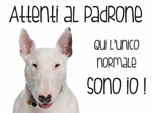 BULL TERRIER - Attenti al padrone qui l'unico normale sono io -  CARTELLO ATTENTI AL CANE in Adesivo Resistente, Pannello in Forex, Pannello In Alluminio o in Plexiglas