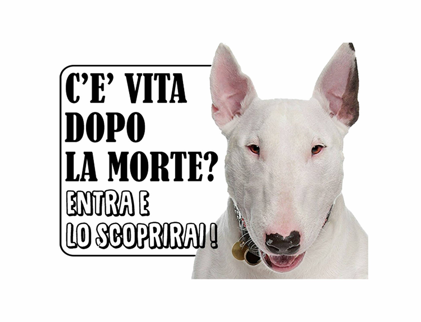 BULL TERRIER c'è vita dopo la morte, entra e lo scoprirai - CARTELLO ATTENTI AL CANE in Adesivo Resistente, Pannello in Forex, Pannello In Alluminio o in Plexiglas
