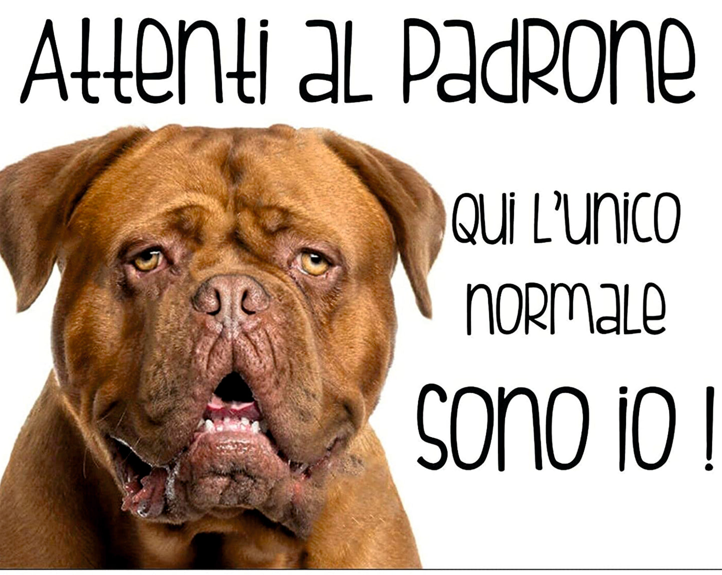 DOGUE DE BORDEAUX - Attenti al padrone qui l'unico normale sono io - CARTELLO ATTENTI AL CANE in Adesivo Resistente, Pannello in Forex, Pannello In Alluminio o in Plexiglas