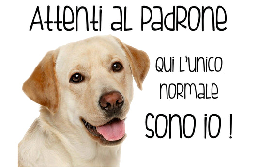 LABRADOR - Attenti al padrone qui l'unico normale sono io - CARTELLO ATTENTI AL CANE in Adesivo Resistente, Pannello in Forex, Pannello In Alluminio o in Plexiglas