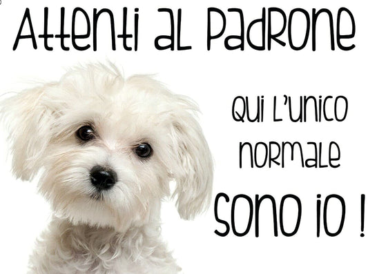 MALTESE ATTENTI AL PADRONE -  CARTELLO ATTENTI AL CANE in Adesivo Resistente, Pannello in Forex, Pannello In Alluminio o in Plexiglas