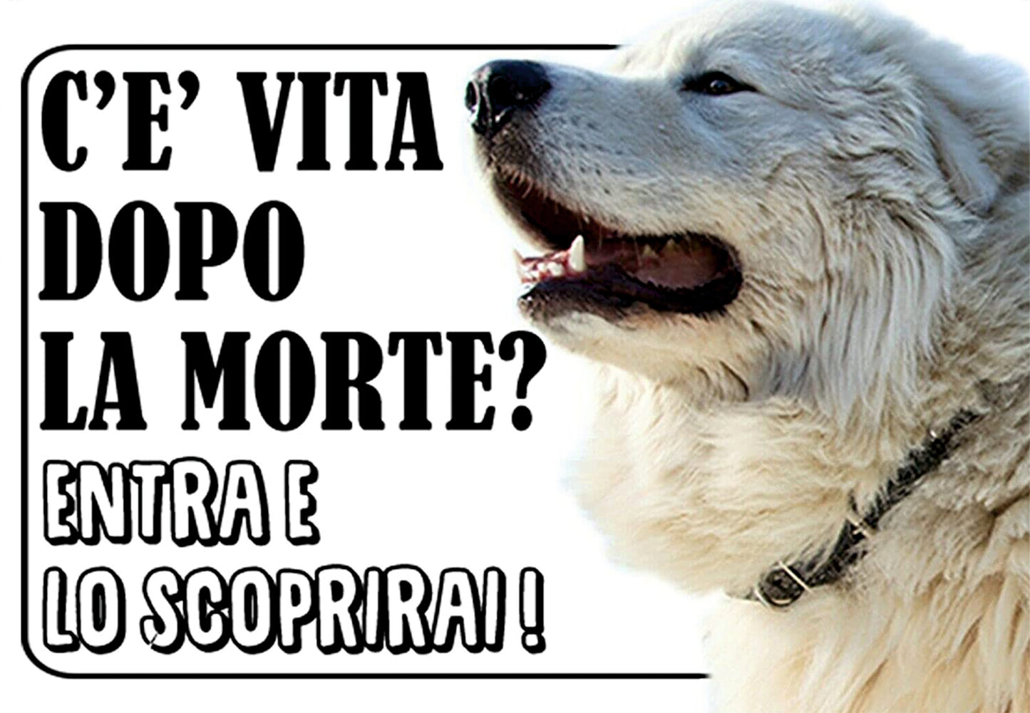MAREMMANO c'è vita dopo la morte, entra e lo scoprirai - CARTELLO ATTENTI AL CANE in Adesivo Resistente, Pannello in Forex, Pannello In Alluminio o in Plexiglas