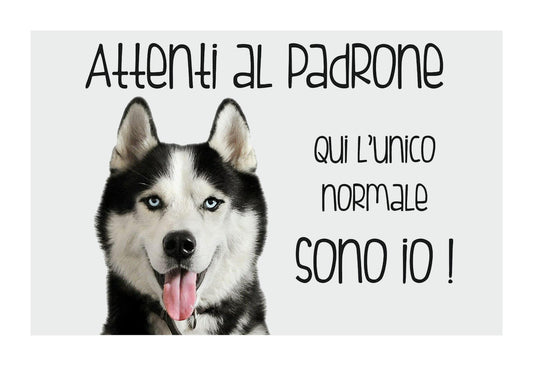 SIBERIAN HUSKY - Attenti al padrone qui l'unico normale sono io - CARTELLO ATTENTI AL CANE in Adesivo Resistente, Pannello in Forex, Pannello In Alluminio o in Plexiglas
