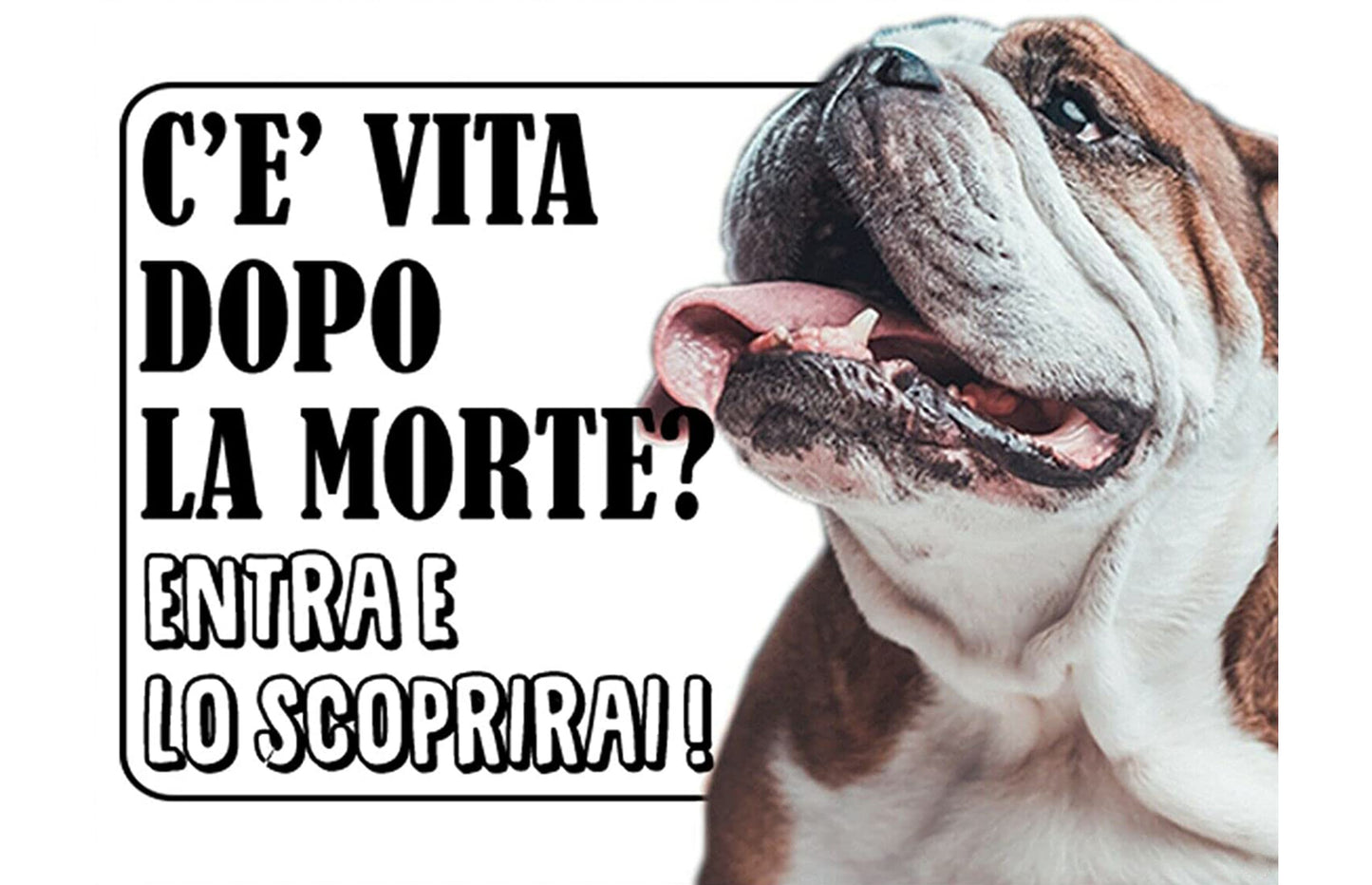 Bulldog Inglese - C'è vita dopo la morte entra e lo scoprirai - CARTELLO ATTENTI AL CANE in Adesivo Resistente, Pannello in Forex, Pannello In Alluminio o in Plexiglas