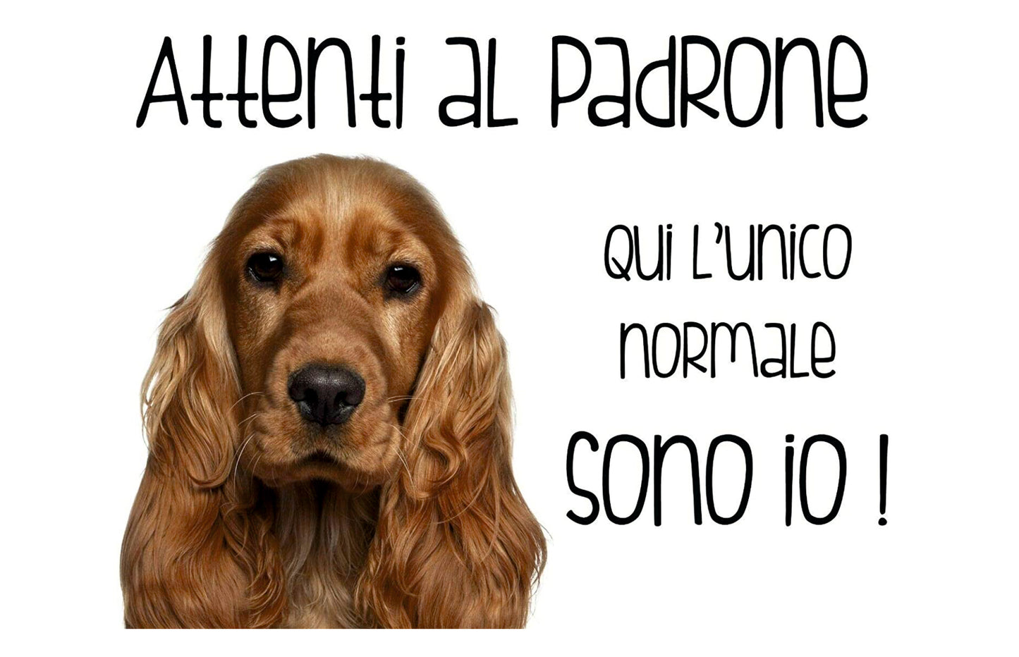 Cocker - Attenti al padrone qui l'unico normale sono io - CARTELLO ATTENTI AL CANE in Adesivo Resistente, Pannello in Forex, Pannello In Alluminio o in Plexiglas