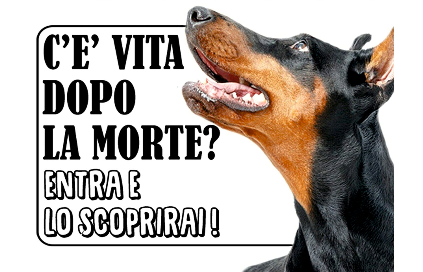 C'è vita dopo la morte - Berman - CARTELLO ATTENTI AL CANE in Adesivo Resistente, Pannello in Forex, Pannello In Alluminio o in Plexiglas