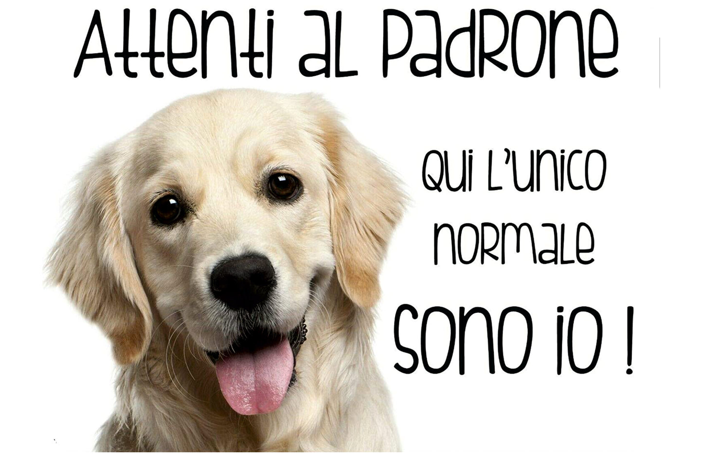 Golden Retriever - Attenti al padrone qui l'unico normale sono io - CARTELLO ATTENTI AL CANE in Adesivo Resistente, Pannello in Forex, Pannello In Alluminio o in Plexiglas