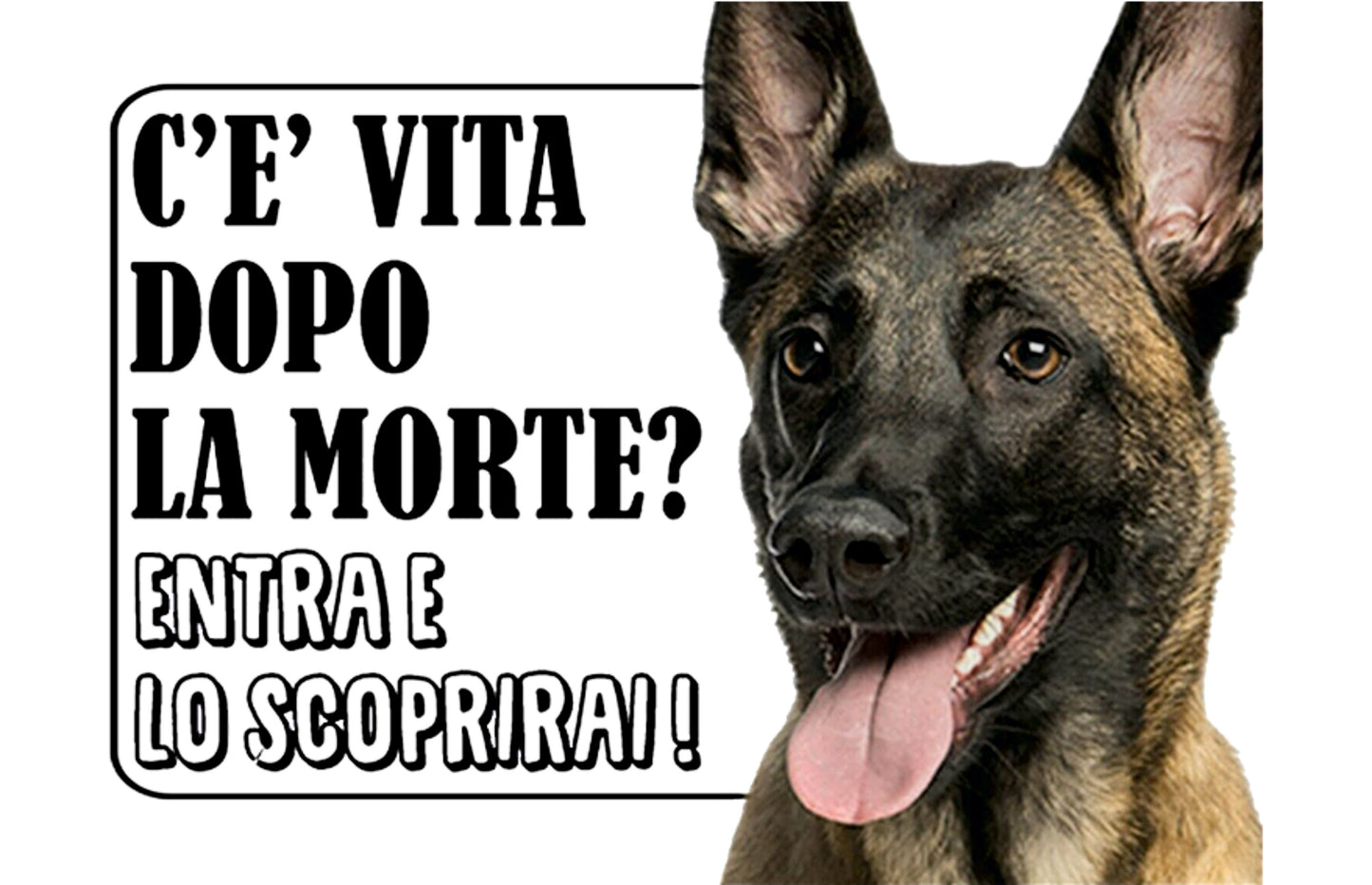 Malinois c'è vita dopo la morte - CARTELLO ATTENTI AL CANE in Adesivo Resistente, Pannello in Forex, Pannello In Alluminio o in Plexiglas