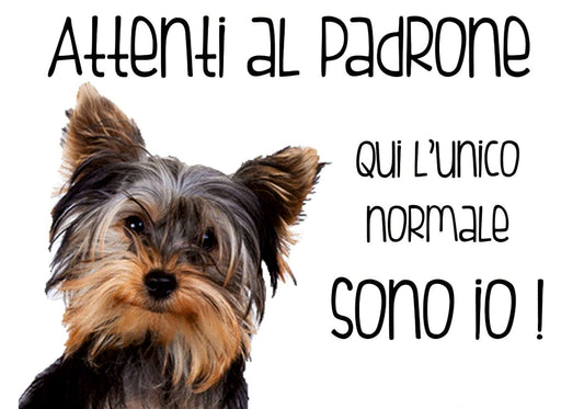 Yorkshire Terrier - attenti al padrone qui l'unico normale sono io - CARTELLO ATTENTI AL CANE in Adesivo Resistente, Pannello in Forex, Pannello In Alluminio o in Plexiglas