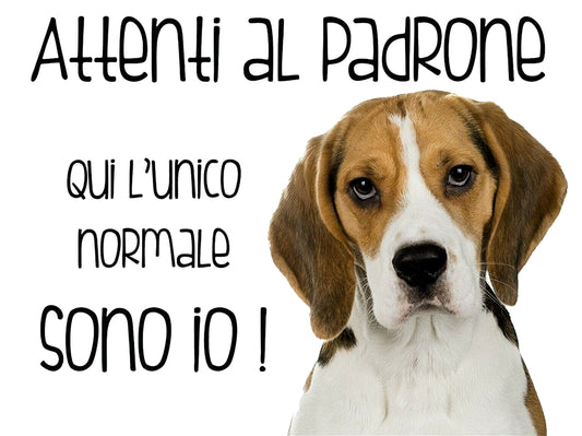 BEAGLE ATTENTI AL PADRONE - CARTELLO ATTENTI AL CANE in Adesivo Resistente, Pannello in Forex, Pannello In Alluminio o in Plexiglas