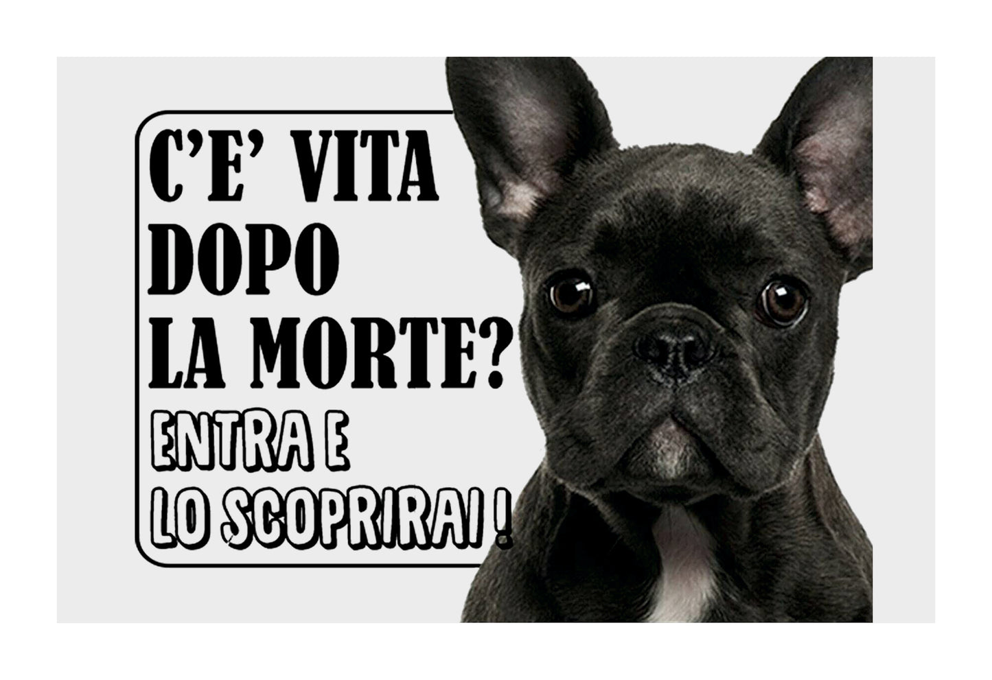 BULLDOG FRANCESE BLU C'è VITA DOPO LA MORTE - CARTELLO ATTENTI AL CANE in Adesivo Resistente, Pannello in Forex, Pannello In Alluminio o in Plexiglas