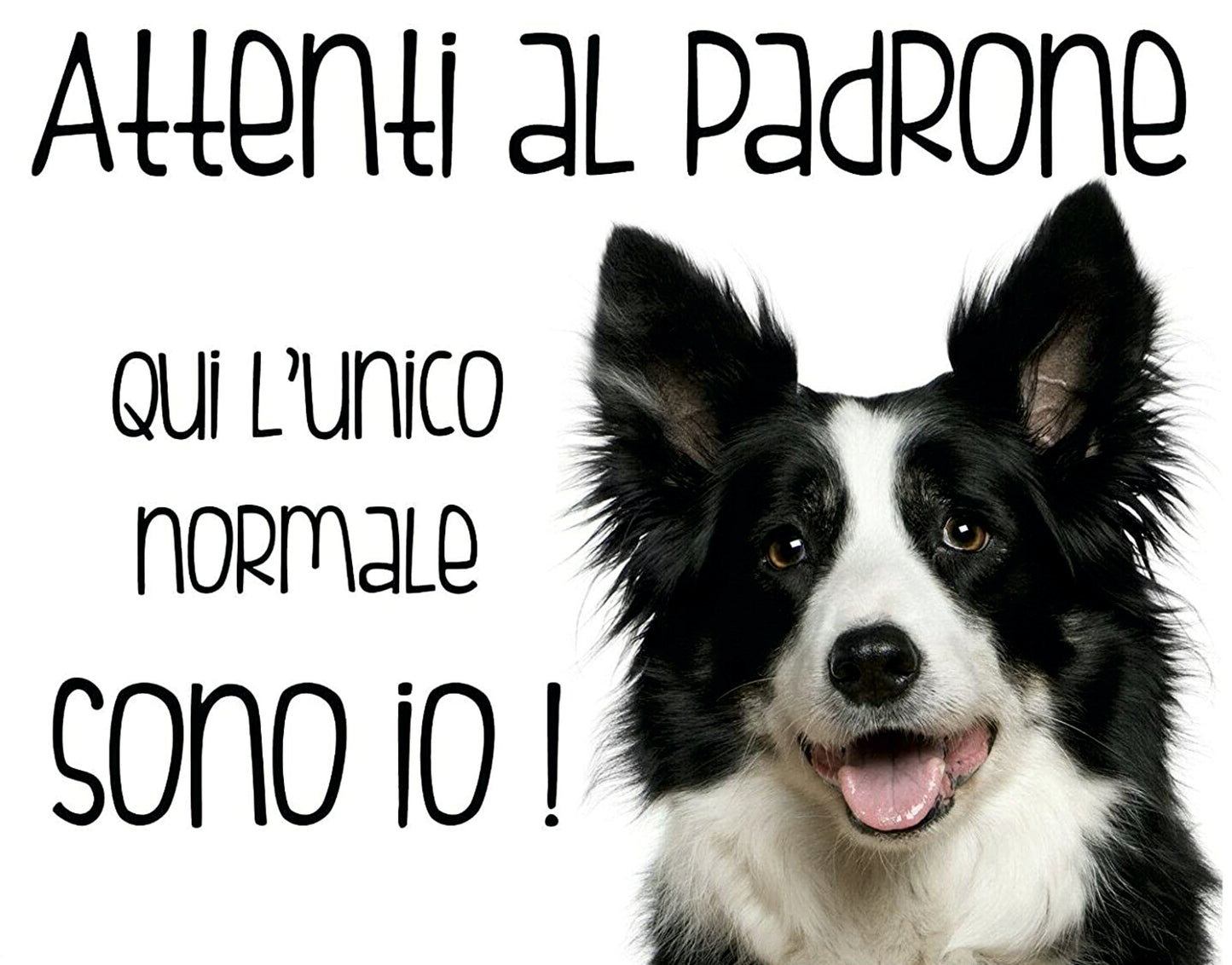 Border Collie - ATTENTI AL PADRONE - CARTELLO ATTENTI AL CANE in Adesivo Resistente, Pannello in Forex, Pannello In Alluminio o in Plexiglas