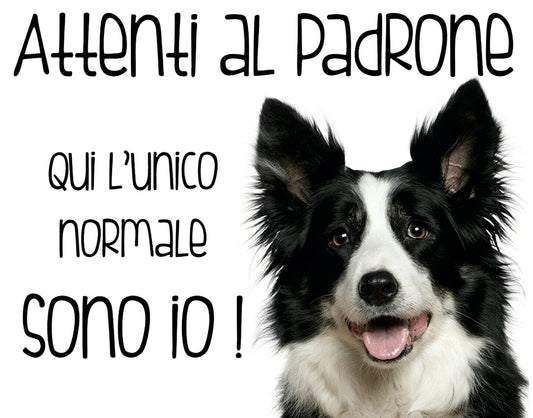 Border Collie - ATTENTI AL PADRONE - CARTELLO ATTENTI AL CANE in Adesivo Resistente, Pannello in Forex, Pannello In Alluminio o in Plexiglas