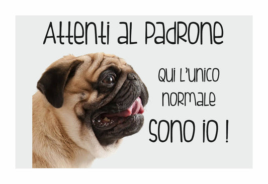CARLINO - Attenti al padrone qui l'unico normale sono io - CARTELLO ATTENTI AL CANE in Adesivo Resistente, Pannello in Forex, Pannello In Alluminio o in Plexiglas