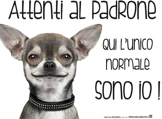 CHIHUAUA ATTENTI AL PADRONE - CARTELLO ATTENTI AL CANE in Adesivo Resistente, Pannello in Forex, Pannello In Alluminio o in Plexiglas