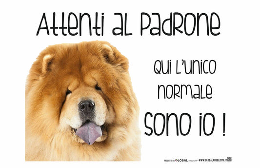 CHOW CHOW Attenti al padrone qui l'unico normale sono io - CARTELLO ATTENTI AL CANE in Adesivo Resistente, Pannello in Forex, Pannello In Alluminio o in Plexiglas