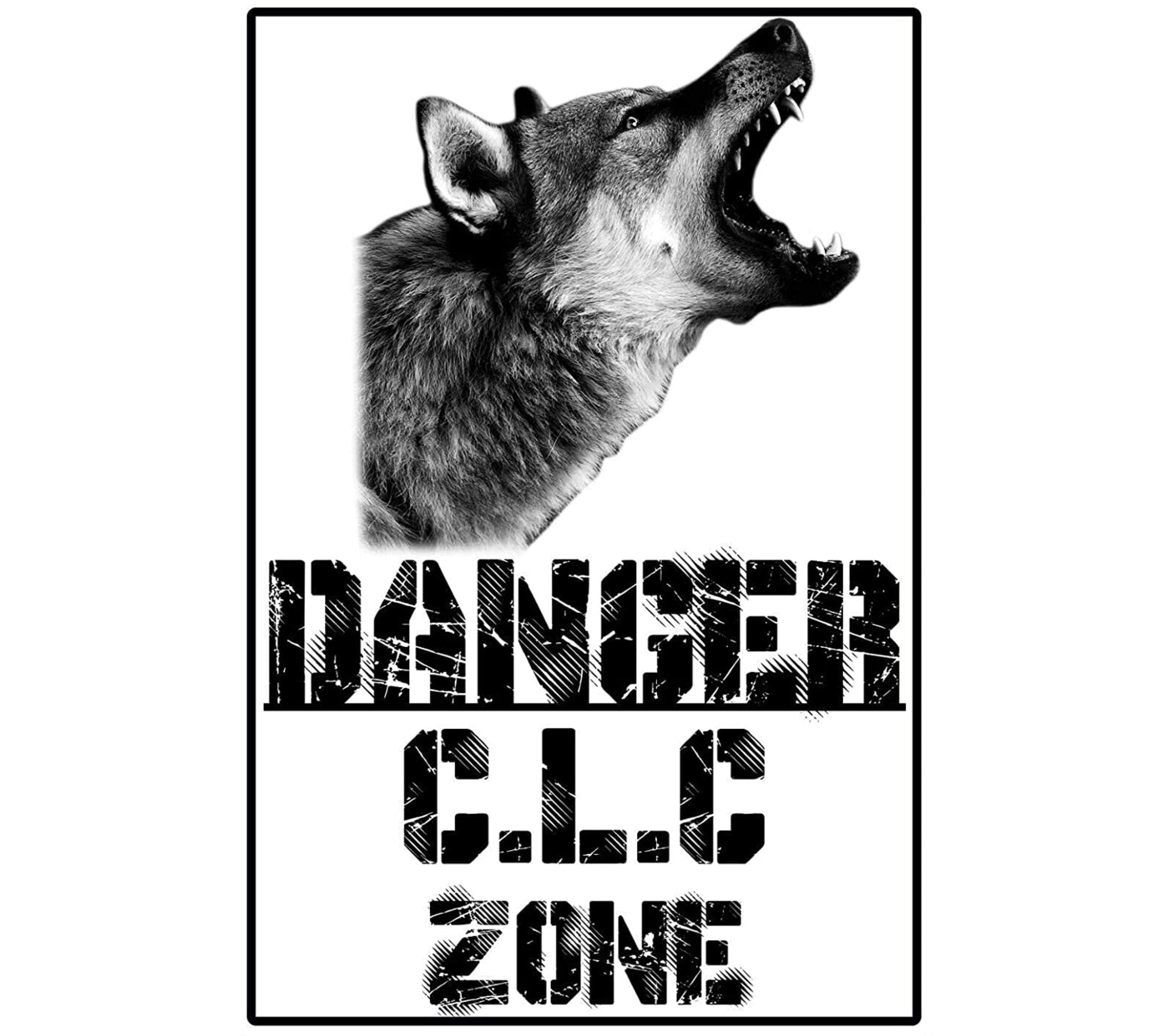 Cartello 'Attenti Al Cane' In Metallo - Targa 15x20 Cm Per Esterni, Personalizzabile - Foto 9