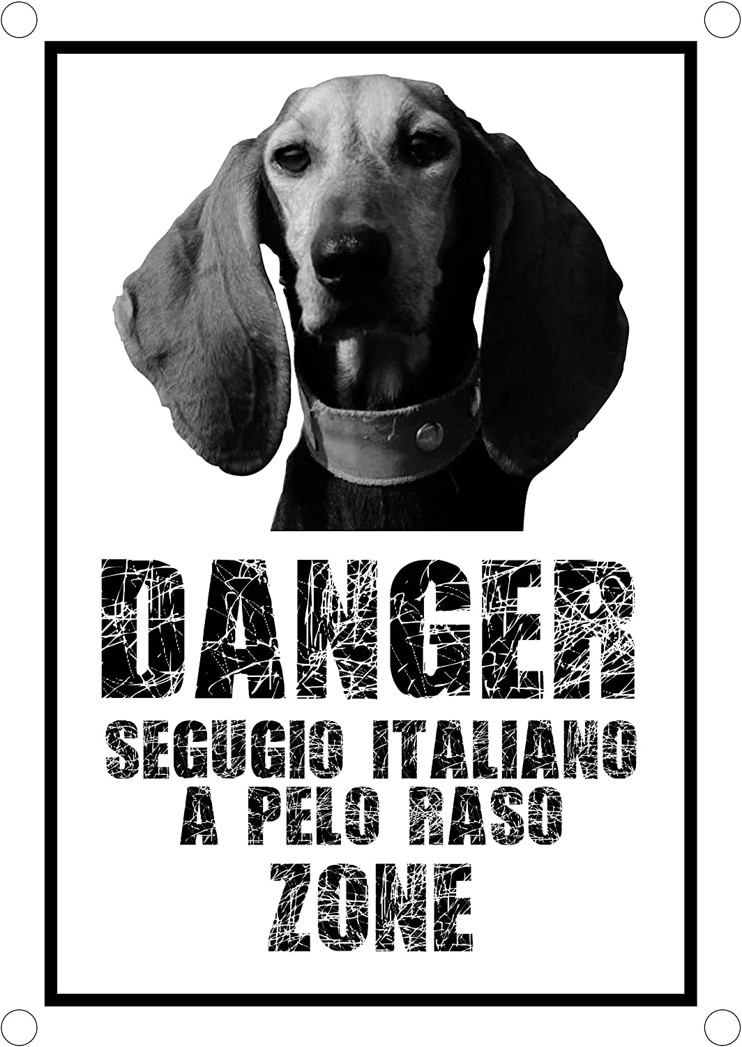 Danger SEGUGIO ITALIANO A PELO RASO Zone  - CARTELLO ATTENTI AL CANE in Adesivo Resistente, Pannello in Forex, Pannello In Alluminio o in Plexiglas