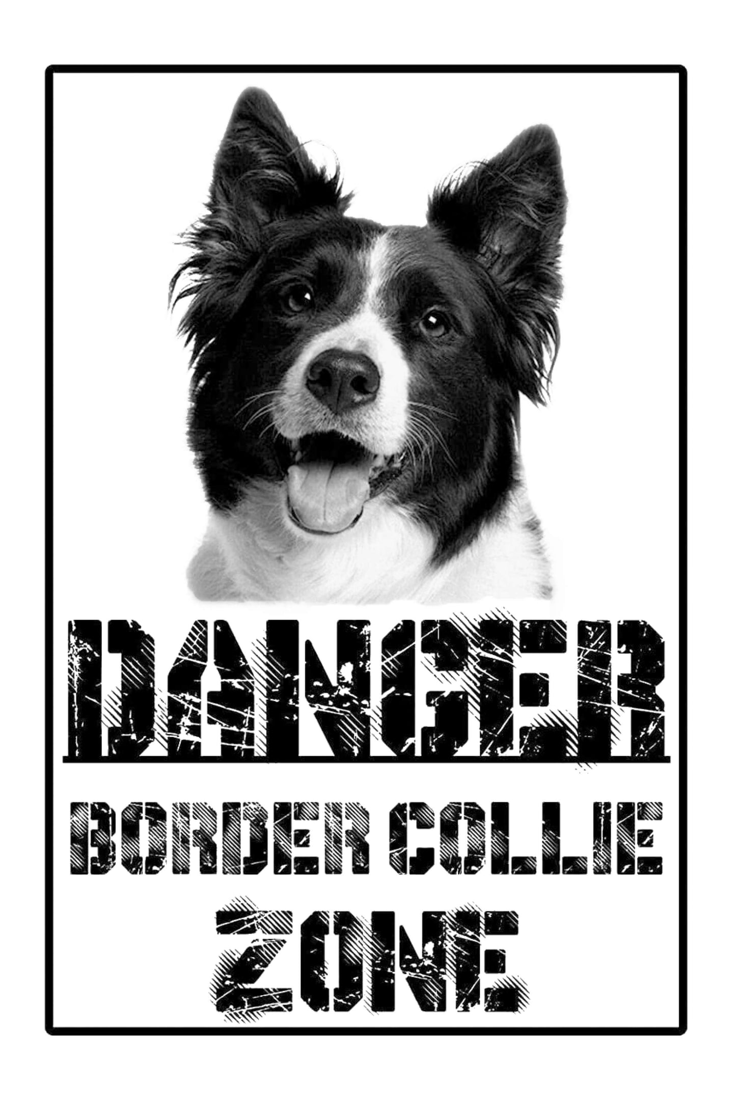 Danger  BORDER COLLIE Zone - CARTELLO ATTENTI AL CANE in Adesivo Resistente, Pannello in Forex, Pannello In Alluminio o in Plexiglas