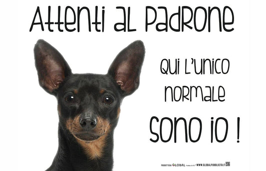 PINSCHER - CARTELLO ATTENTI AL CANE in Adesivo Resistente, Pannello in Forex, Pannello In Alluminio o in Plexiglas