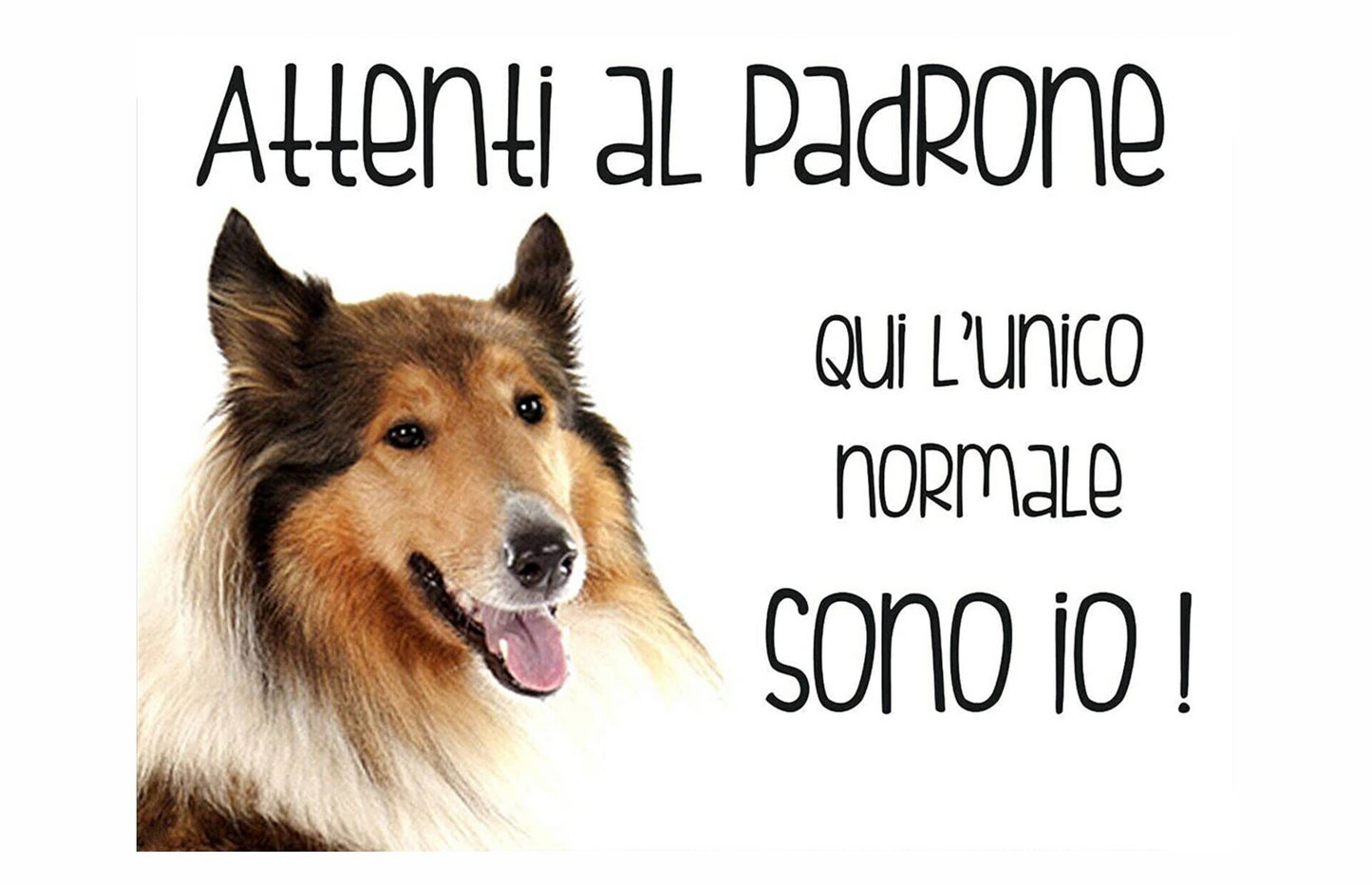 Rough Collie - CARTELLO ATTENTI AL CANE in Adesivo Resistente, Pannello in Forex, Pannello In Alluminio o in Plexiglas