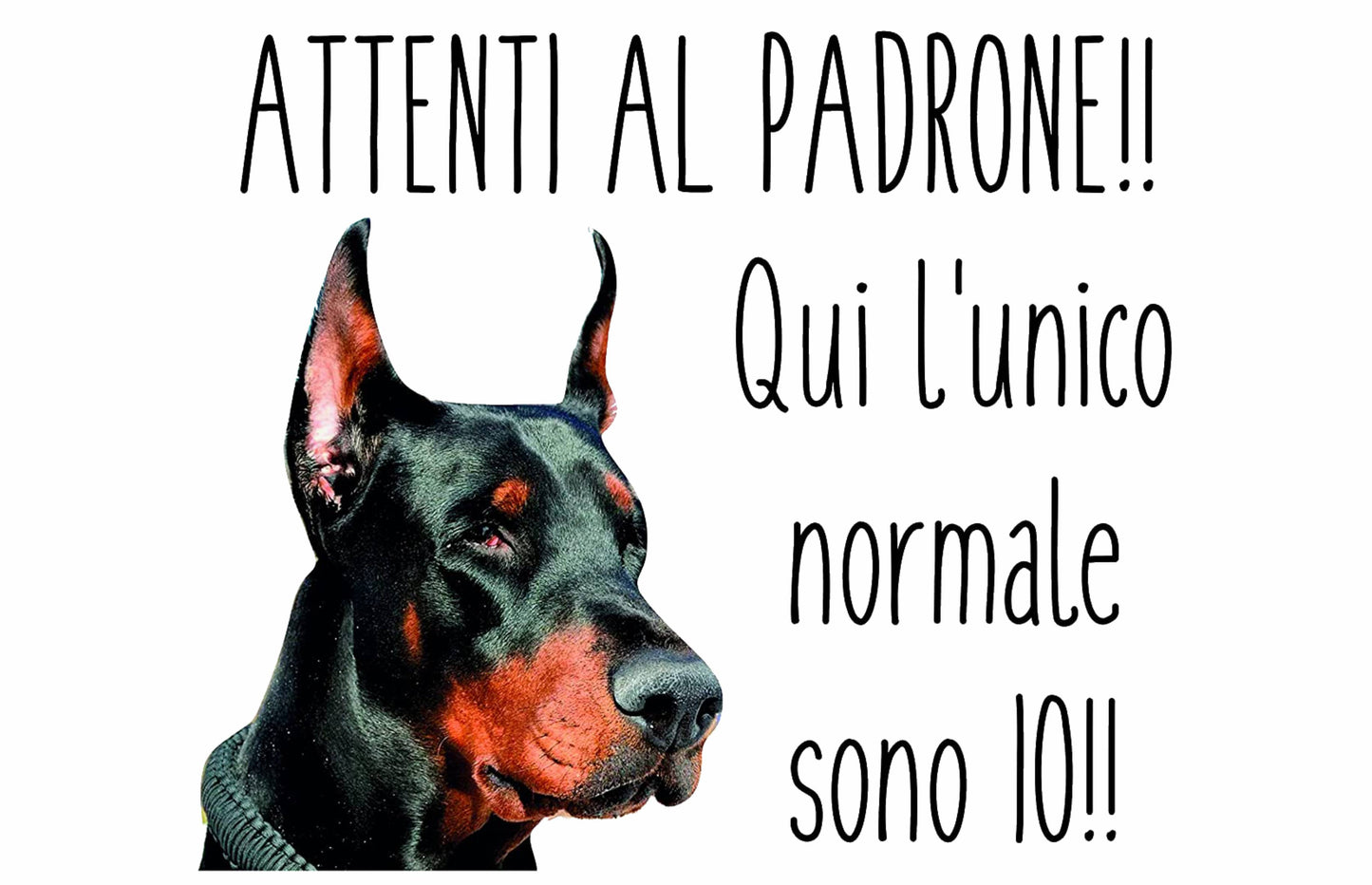 Doberman - Attenti al padrone qui l'unico normale sono io - CARTELLO ATTENTI AL CANE in Adesivo Resistente, Pannello in Forex, Pannello In Alluminio o in Plexiglas
