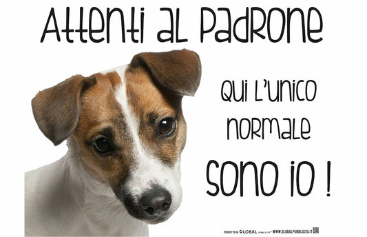 Jack Russel - Attenti al padrone qui l'unico normale sono io - CARTELLO ATTENTI AL CANE in Adesivo Resistente, Pannello in Forex, Pannello In Alluminio o in Plexiglas