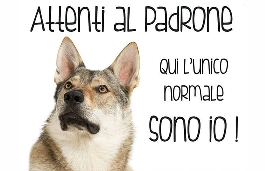 Lupo Cecoslovacco - Attenti al padrone qui l'unico normale sono io - CARTELLO ATTENTI AL CANE in Adesivo Resistente, Pannello in Forex, Pannello In Alluminio o in Plexiglas