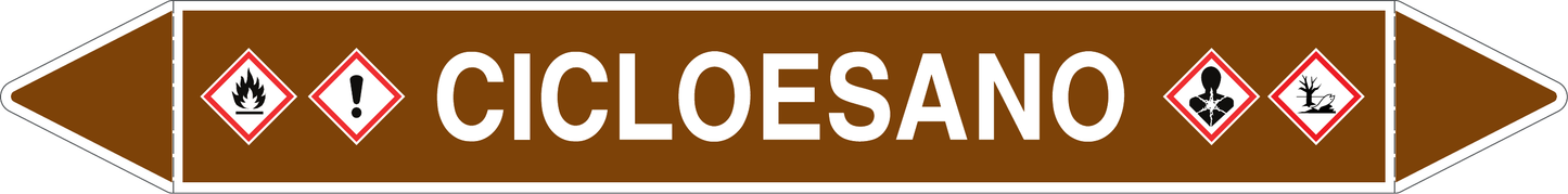 GLOBAL PACCO DA 10 ETICHETTE PER TUBAZIONI - CICLOESANO - Etichetta Autoadesiva Resistente