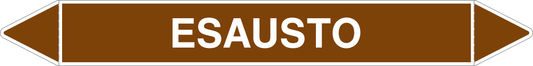 GLOBAL PACCO DA 10 ETICHETTE PER TUBAZIONI - ESAUSTO - Etichetta Autoadesiva Resistente