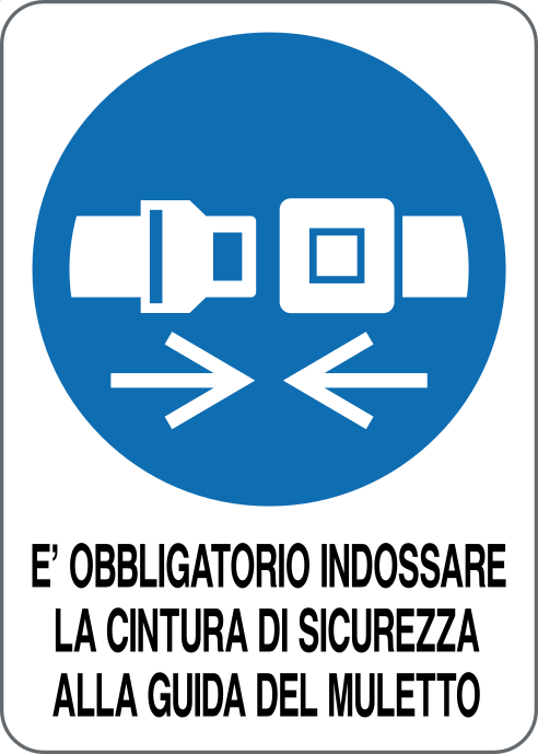 GLOBAL CARTELLO SEGNALETICO - È OBBLIGATORIO INDOSSARE LA CINTURA DI SICUREZZA ALLA GUIDA DEL MULETTO - Adesivo Resistente, Pannello in Forex, Pannello In Alluminio