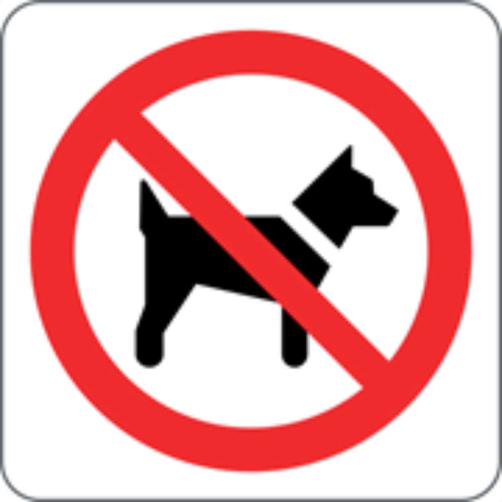 VIETATO L'ACCESSO AI CANI - CARTELLO SEGNALETICO QUADRATO ISO 7010 - Adesivo Extra Resistente, Pannello in Forex, Pannello In Alluminio