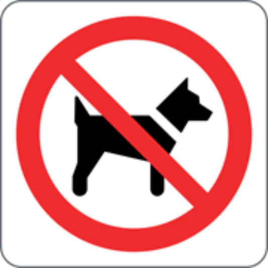 VIETATO L'ACCESSO AI CANI - CARTELLO SEGNALETICO QUADRATO ISO 7010 - Adesivo Extra Resistente, Pannello in Forex, Pannello In Alluminio