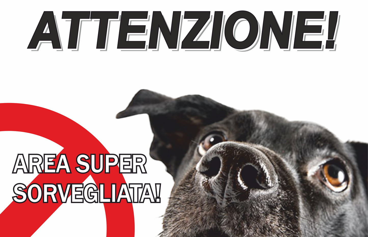 GLOBAL CARTELLO SEGNALETICO - attenti al cane, area super videosorvegliata - Adesivo Extra Resistente, Pannello in Forex, Pannello In Alluminio