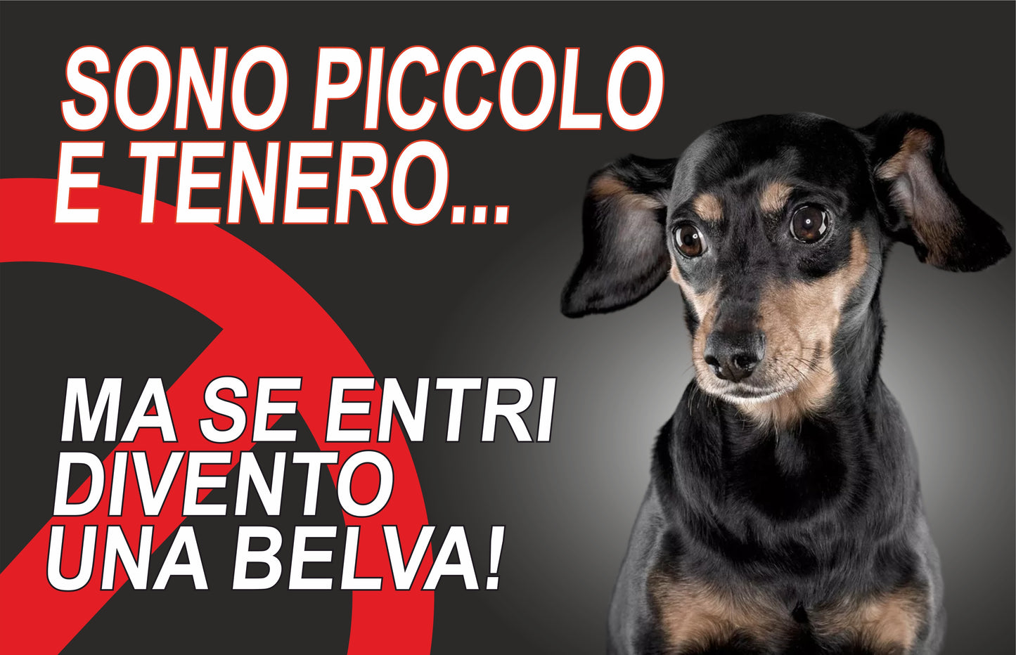 GLOBAL CARTELLO SEGNALETICO - ATTENTI AL CANE PINCHER SONO PICCOLO E TENERO  - Adesivo Extra Resistente, Pannello in Forex, Pannello In Alluminio
