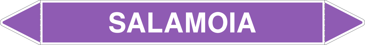 GLOBAL PACCO DA 10 ETICHETTE PER TUBAZIONI - SALAMOIA - Etichetta Autoadesiva Resistente