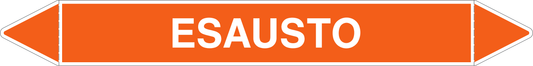 GLOBAL PACCO DA 10 ETICHETTE PER TUBAZIONI - ESAUSTO - Etichetta Autoadesiva Resistente