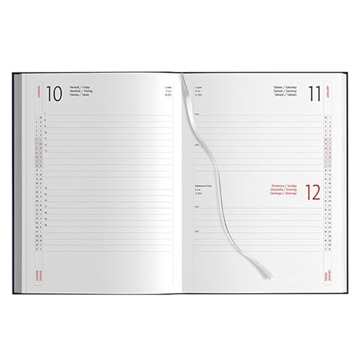Agenda 2025 Giornaliera Organizer 15x21 cm Colore blu Per Appuntamenti Ufficio Casa e Lavoro Professionale - Copertina Rigida