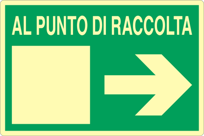 GLOBAL CARTELLO SEGNALETICO LUMINESCENTE - AL PUNTO DI RACCOLTA FRECCIA DESTRA - Adesivo Luminescente O Pannello Rigido Luminescente