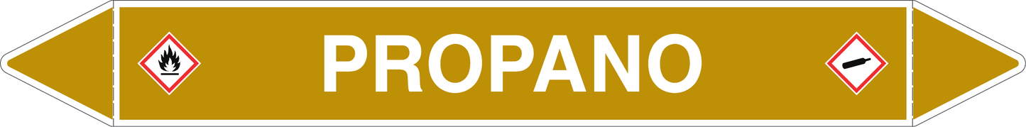 GLOBAL PACCO DA 10 ETICHETTE PER TUBAZIONI - PROPANO - Etichetta Autoadesiva Resistente