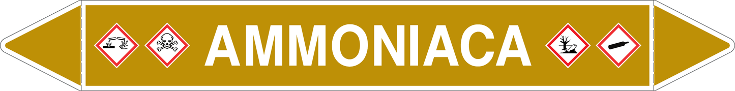 GLOBAL PACCO DA 10 ETICHETTE PER TUBAZIONI - AMMONIACA - Etichetta Autoadesiva Resistente