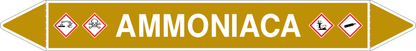 GLOBAL PACCO DA 10 ETICHETTE PER TUBAZIONI - AMMONIACA - Etichetta Autoadesiva Resistente